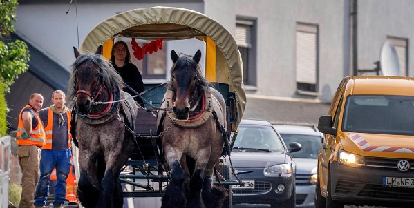 بسبب أزمة الطاقة... سيّدة ألمانية تستبدل سيارتها بعربة خيول 