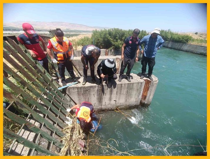 تركيا.. العثور على جثة سوري في قناة للري وغرق آخرَين خلال السباحة في البحر
