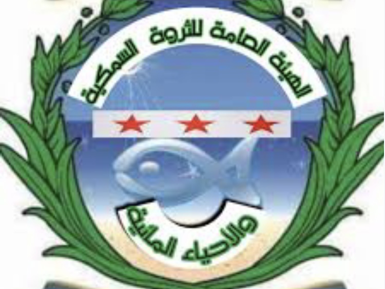 الهيئة العامة للثروة السمكية تُعلن تحديد فترة زمنية لمنع صيد الأسماك